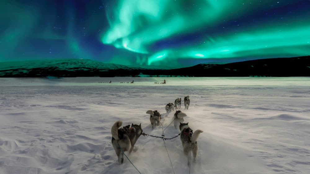 https://www.westtrek.com/wp-content/uploads/2022/05/Wanderlust-Northern-Lights-2.jpg