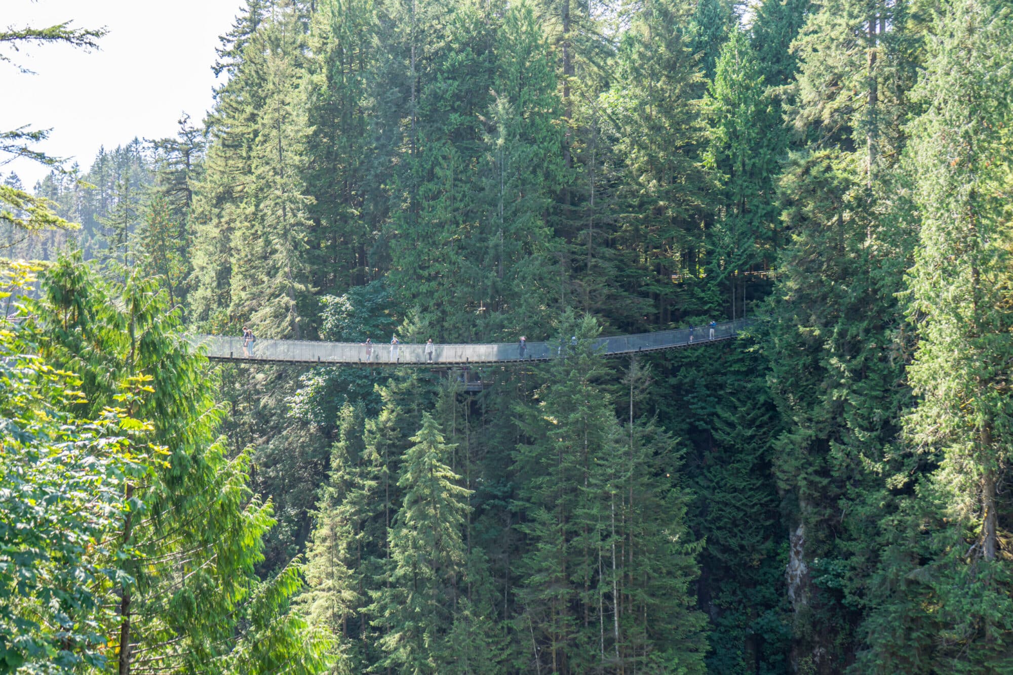 https://www.westtrek.com/wp-content/uploads/2022/07/©Lisanne_Smeele_Capilano_Suspension_Bridge-6-scaled-e1657755762674.jpg