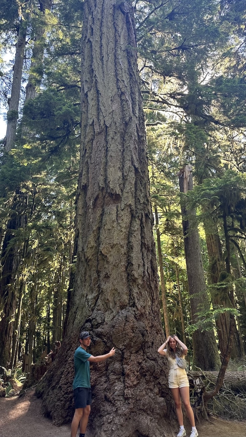 https://www.westtrek.com/wp-content/uploads/2024/07/tofino-2.jpg