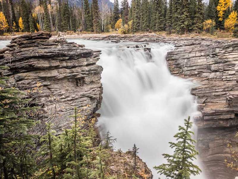 https://www.westtrek.com/wp-content/uploads/2025/02/©MooseTravelNetwork-Rockies-AthabascaFalls.jpg